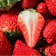 canned strawberries